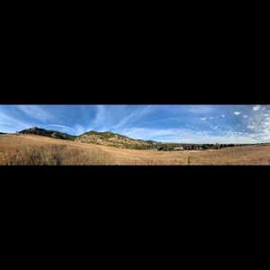 Meet your Posher, Liz